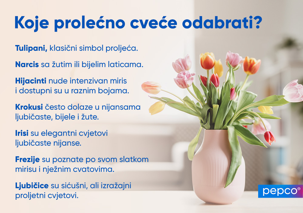 Pepco infografika o odabiru vaze za cvijeće