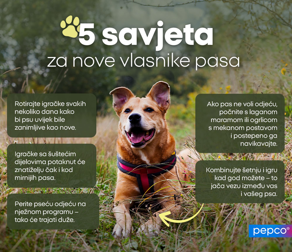  5 savjeta za nove vlasnike pasa