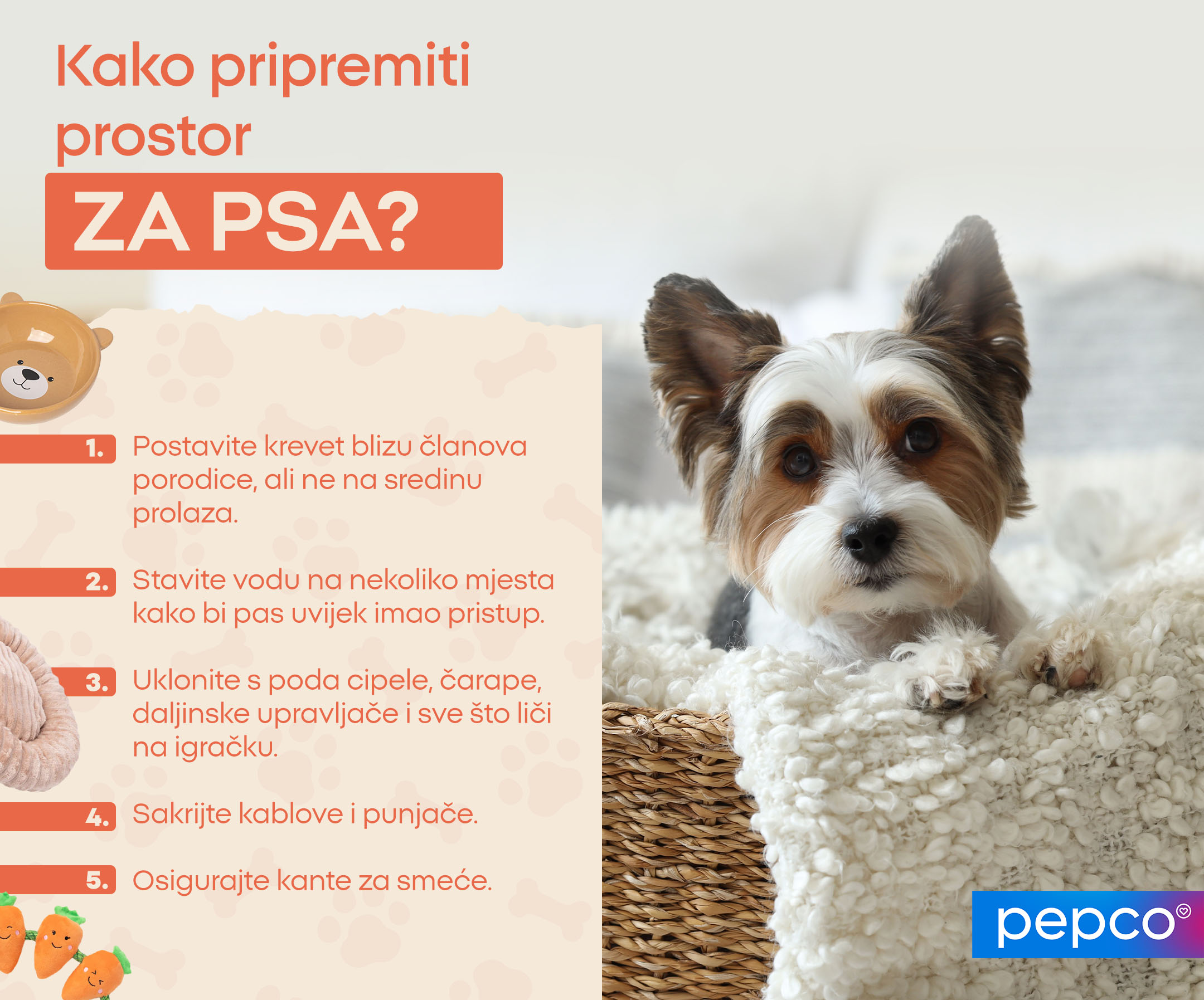 Kako pripremiti prostor za psa? 